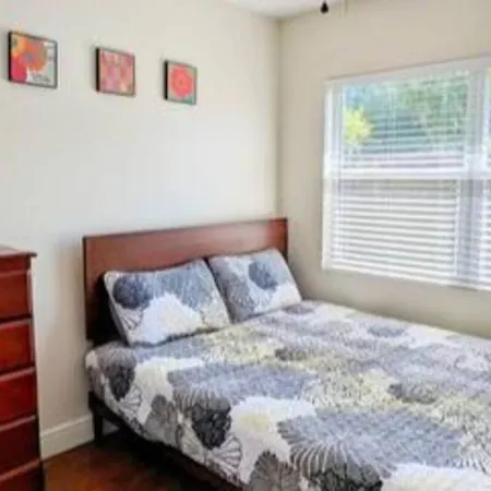 Spacious House With Big Backyard In N. Hyde Park / Close To Downtown